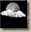 Monday Night: Partly Cloudy then Slight Chance Rain Showers